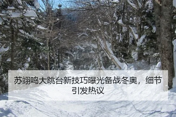su-yi-ming-da-tiao-tai-xin-ji-qiao-bao-guang-bei-zhan-dong-ao-xi-jie-yin-fa-re-yi-3-419.jpg